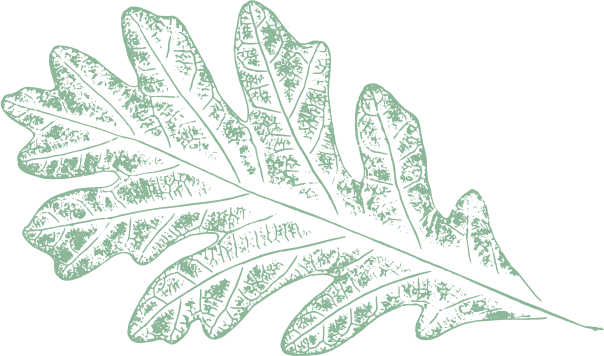 hortus-feuille-verte-equipe Feuille Equipe Hortus