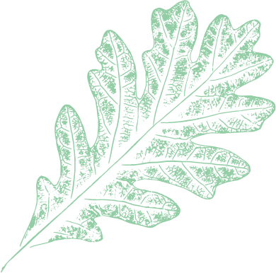 feuille-verte-avis-google Feuille verte Témoignages